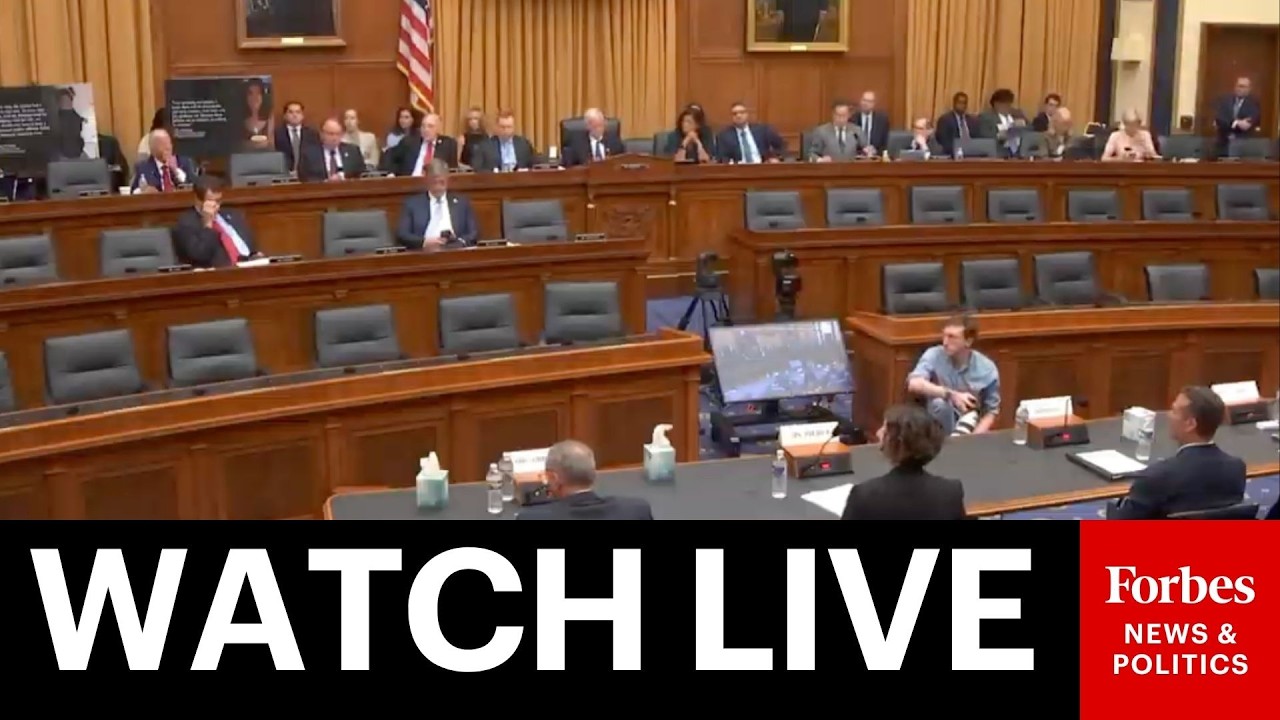 LIVE: Families Of People Killed By Illegal Immigrants Testify Before Congress