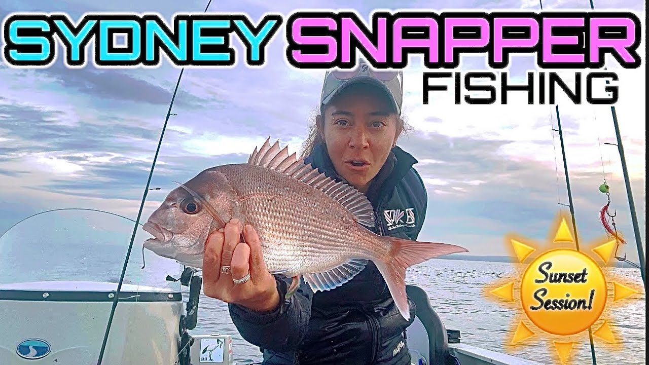 Snapper: How to successfully find and target SNAPPER off Kurnell Lighthouse!