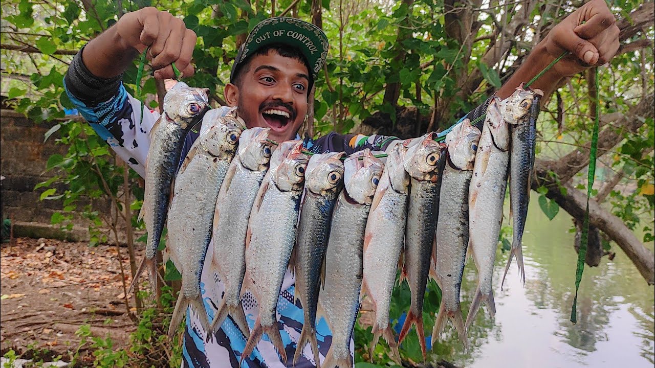 ഈ കുഞ്ഞിപ്പുഴുവിനെ കോർത്തിട്ടാൽ ഈ മീൻ ചാടി കൊത്തും.... | Tarpon Fishing | Fishing Videos | kerala