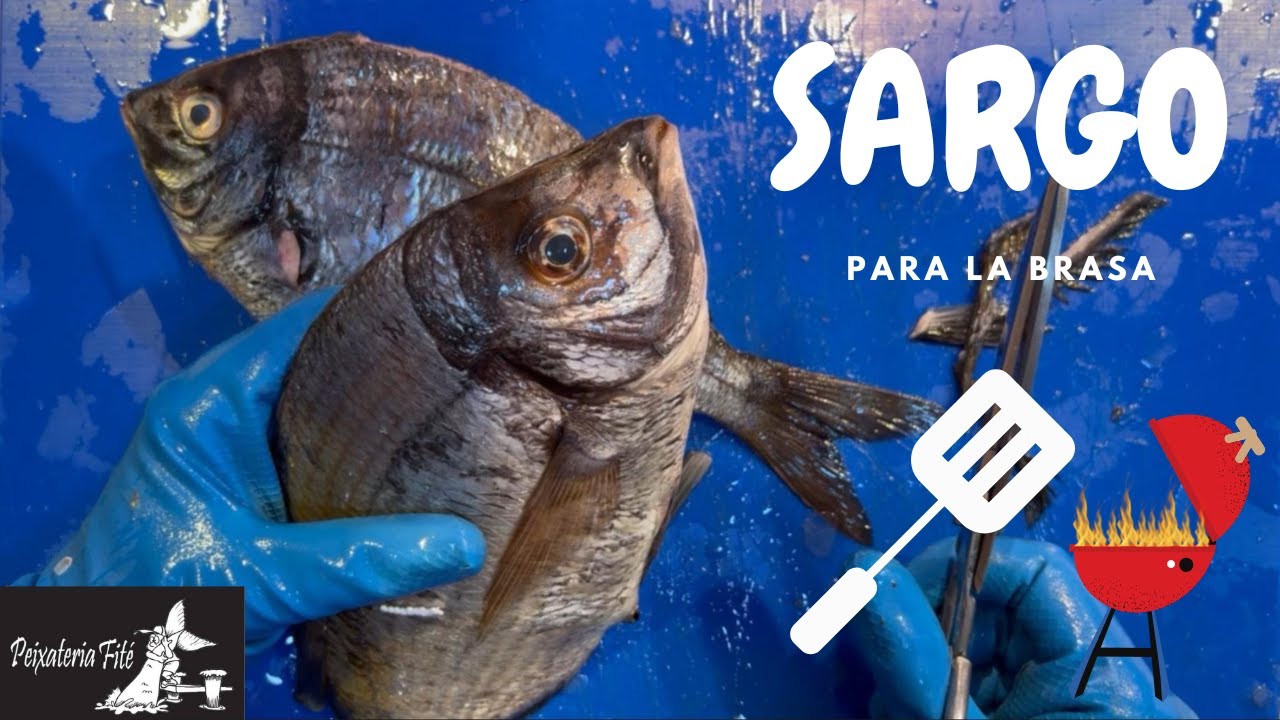SARGO PARA LA BRASA PREPARARÁS Y EN LAS BRASAS ACABARÁ