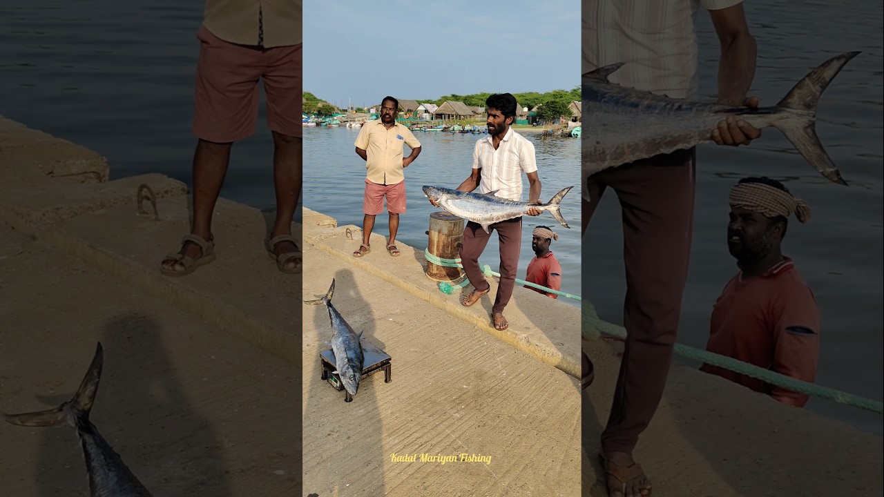 Slow Trolling fishing Catching Big King fish in Deepsea fishing 