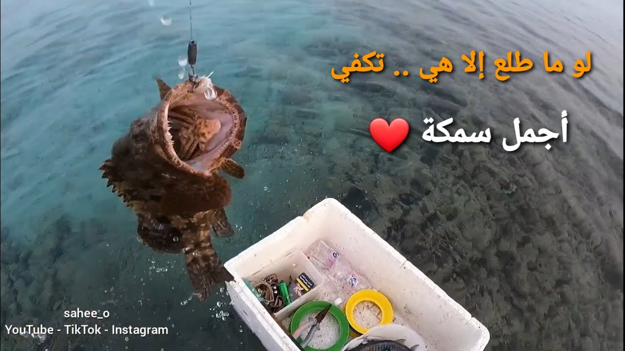 نزلة خفيفة للبحر للكسارة لصيد الأسماك وأجواء خيالية وصيد أجمل سمكة ❤
