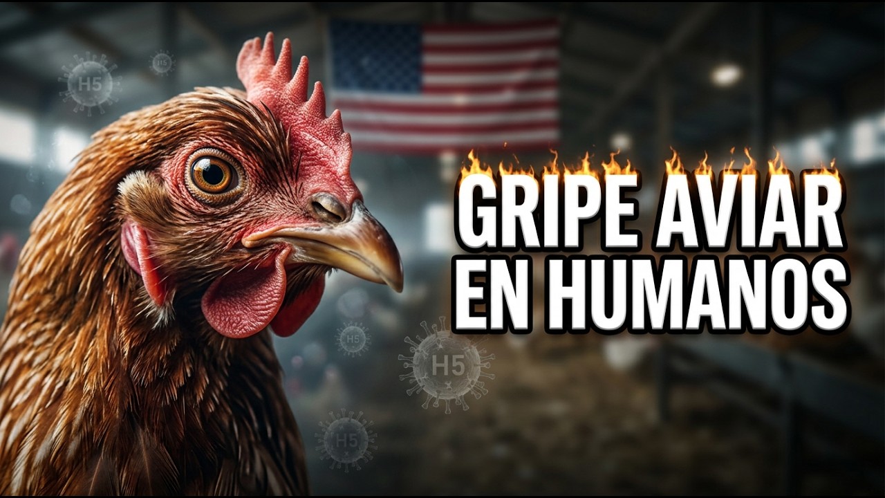 ¿Qué tan cerca está el H5N1 de infectar masivamente en Estados Unidos?