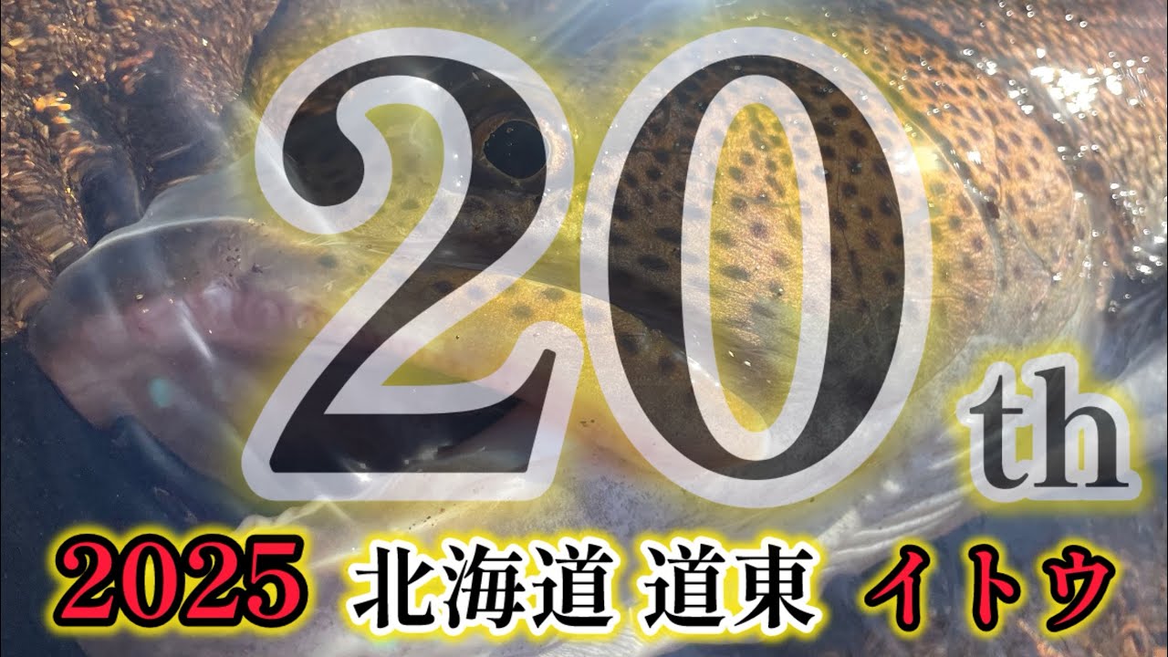 【北海道 釣り 鬼20】2025 北海道 道東 イトウ 20th