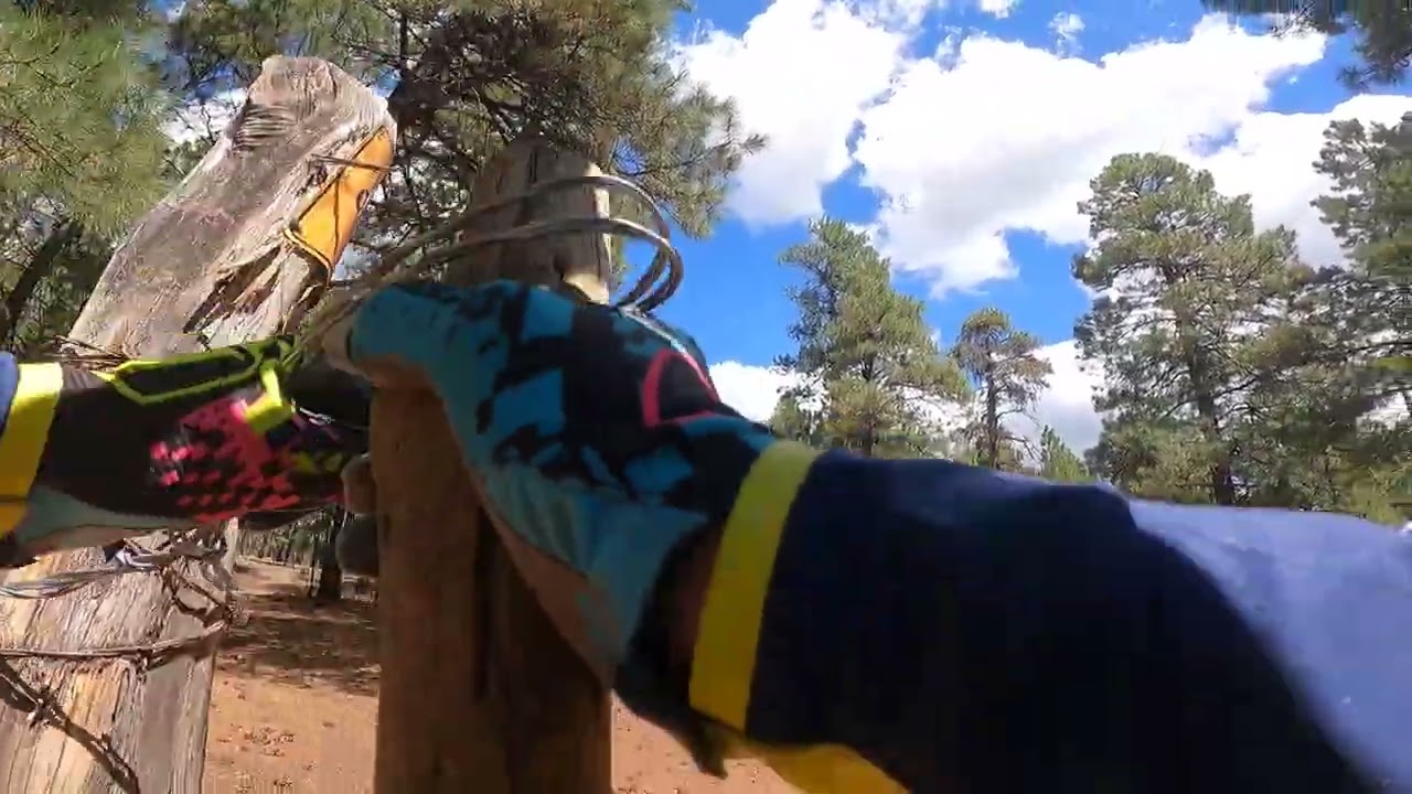 Wing Mountain Single Track Flagstaff 2025