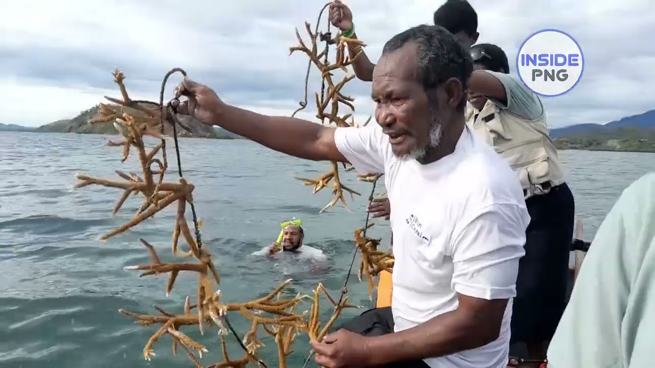 Hiri Coral PNG: Reviving and replenishing coral reefs | Inside PNG