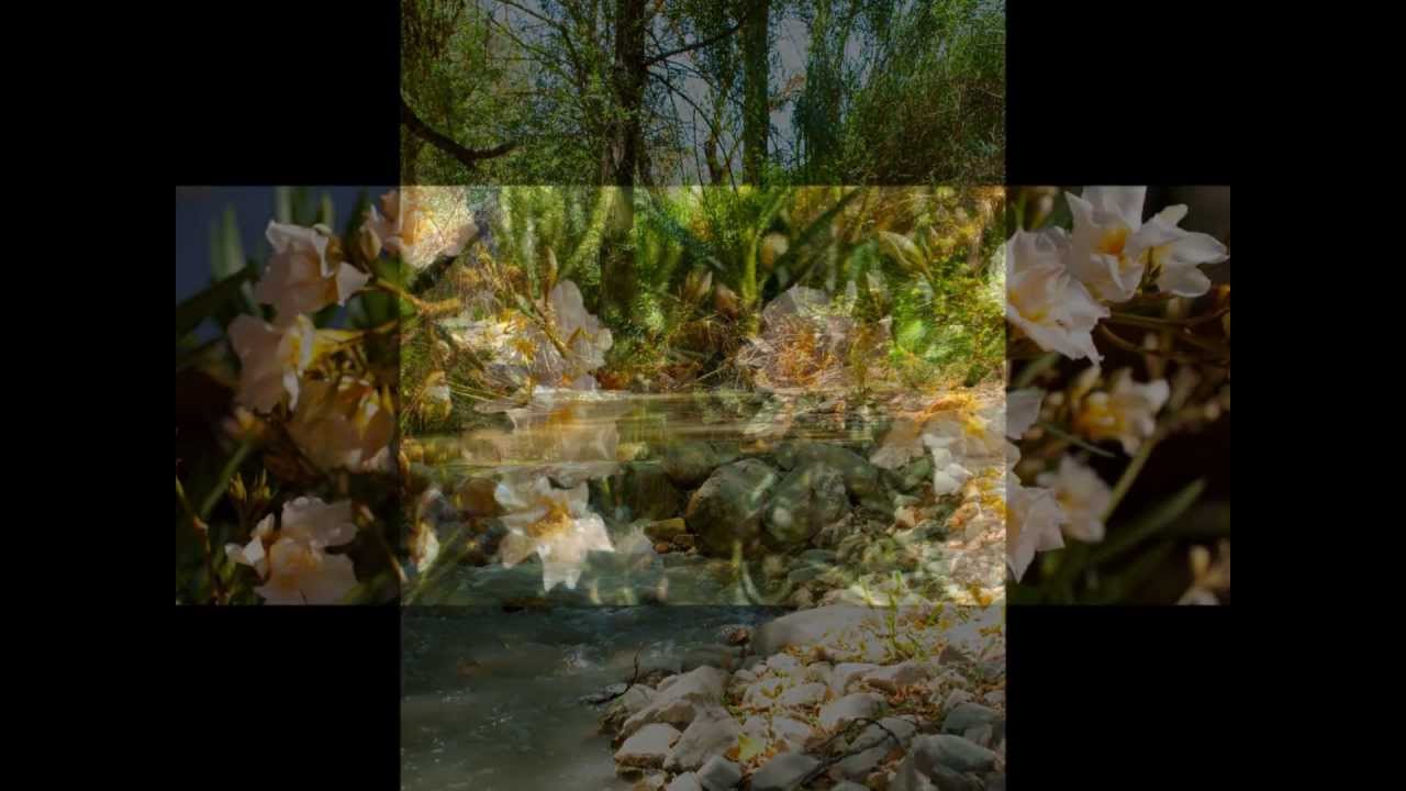 El Molino del Conde Rent a large country house in Andalucia.wmv