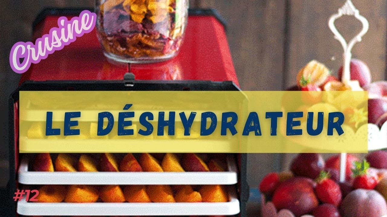 Déshydrateur ménager : tout ce que vous devez savoir pour faire les meilleurs choix