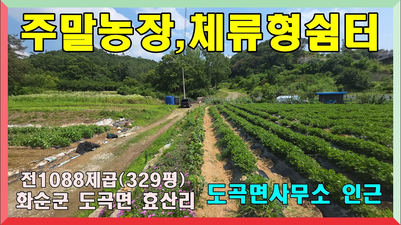 도곡면사무소 인근/ 전원주택부지.체류형쉼터,주말농장 / 화순군 도곡면 효산리 전 945제곱 (285.86평) 1억2000만원