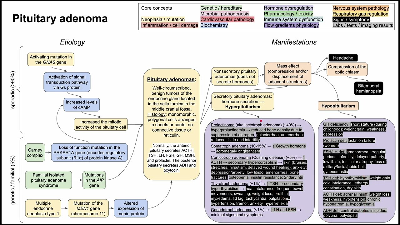 Pituitary adenoma (mechanism of disease)