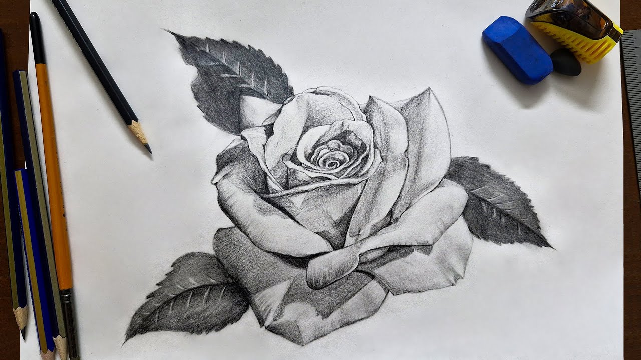 How To Draw And Shade Realistic Rose | Texture Drawing Tutorial