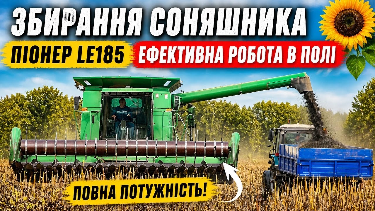 Жнивуємо соняшник 🌻 піонер. Якісний соняшник за свою ціну. John Deere 9500. МТЗ 
