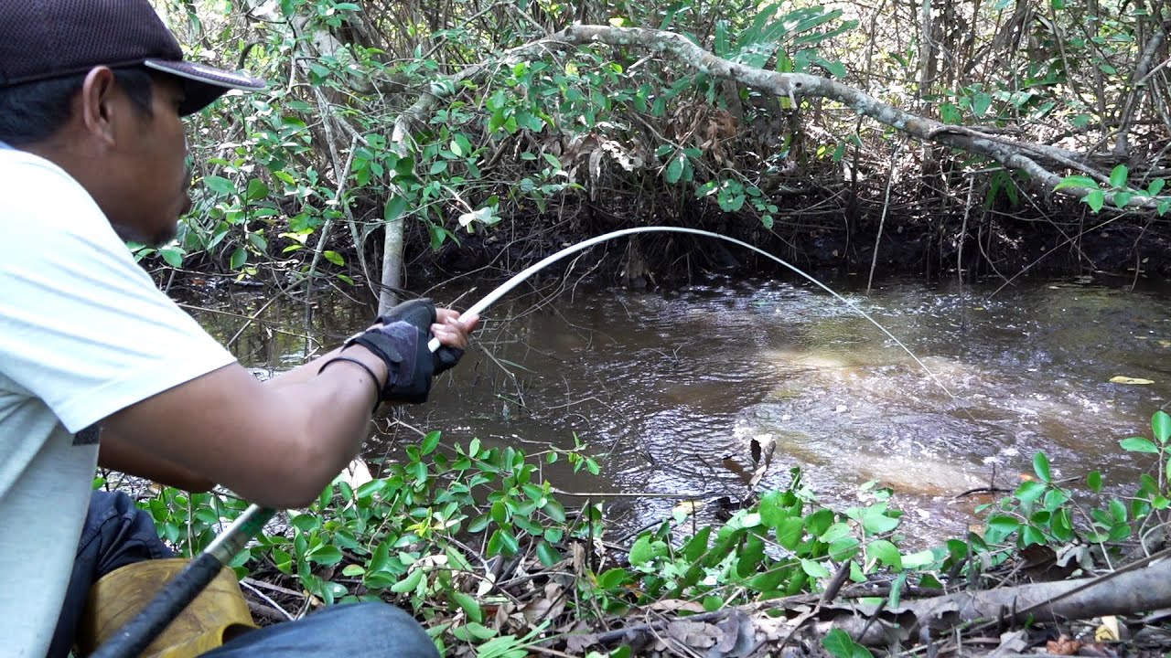Spot mancing ini adalah terminalnya ikan dirawa #SG-440
