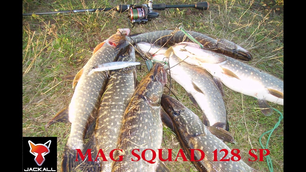 Jackall Mag Squad 128 SP.  Октябрьская Щука !