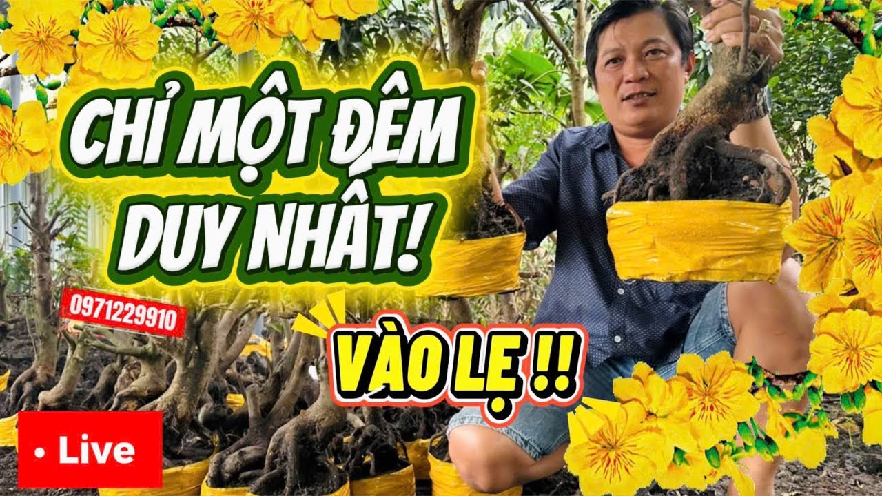 LIVE 🌼19h 30/01 đêm cuối vườn tri ân lớn giá ve chai 📞0971229910 Liêm