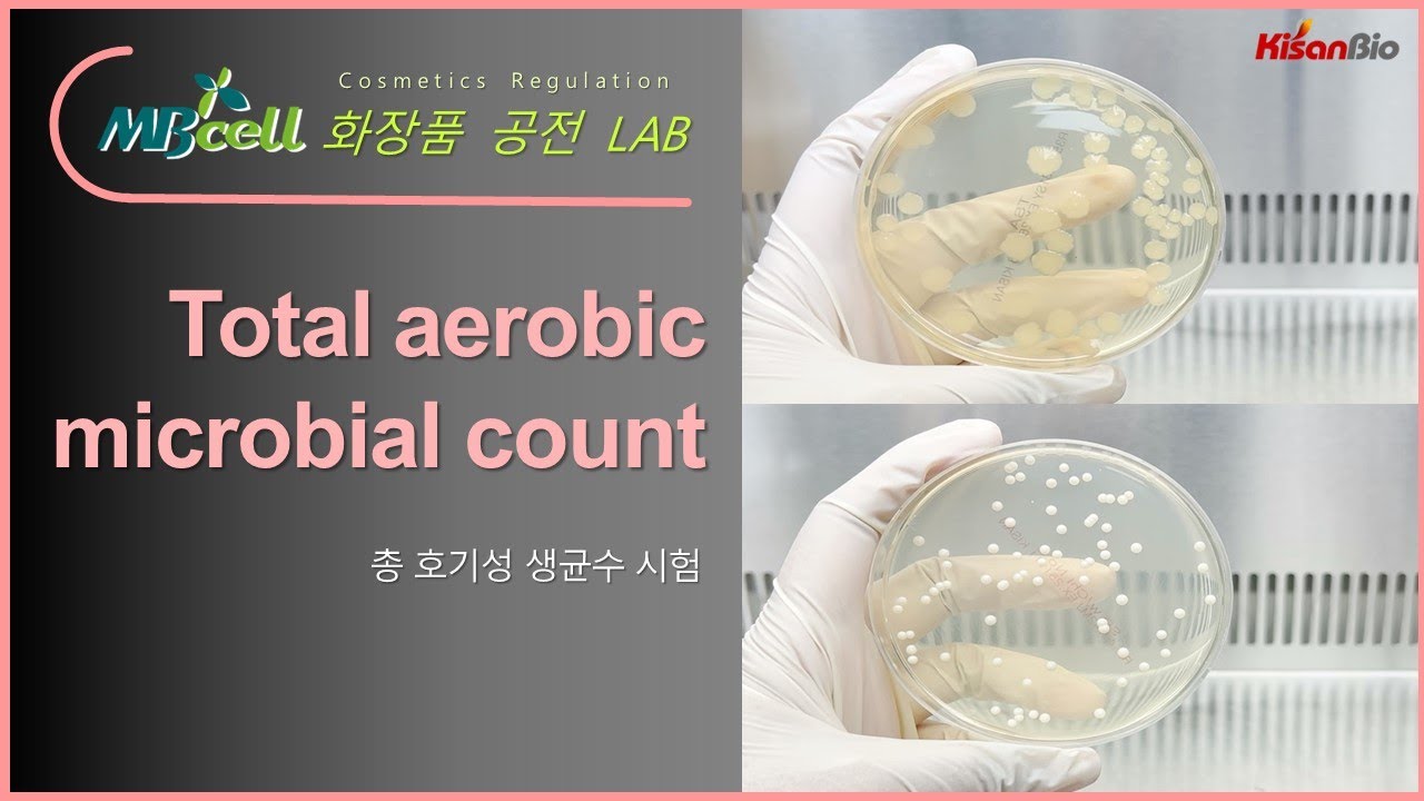 MBcell 유통화장품 미생물 한도 총 호기성 생균수 시험법 실험하기! (Total aerobic microbial count)