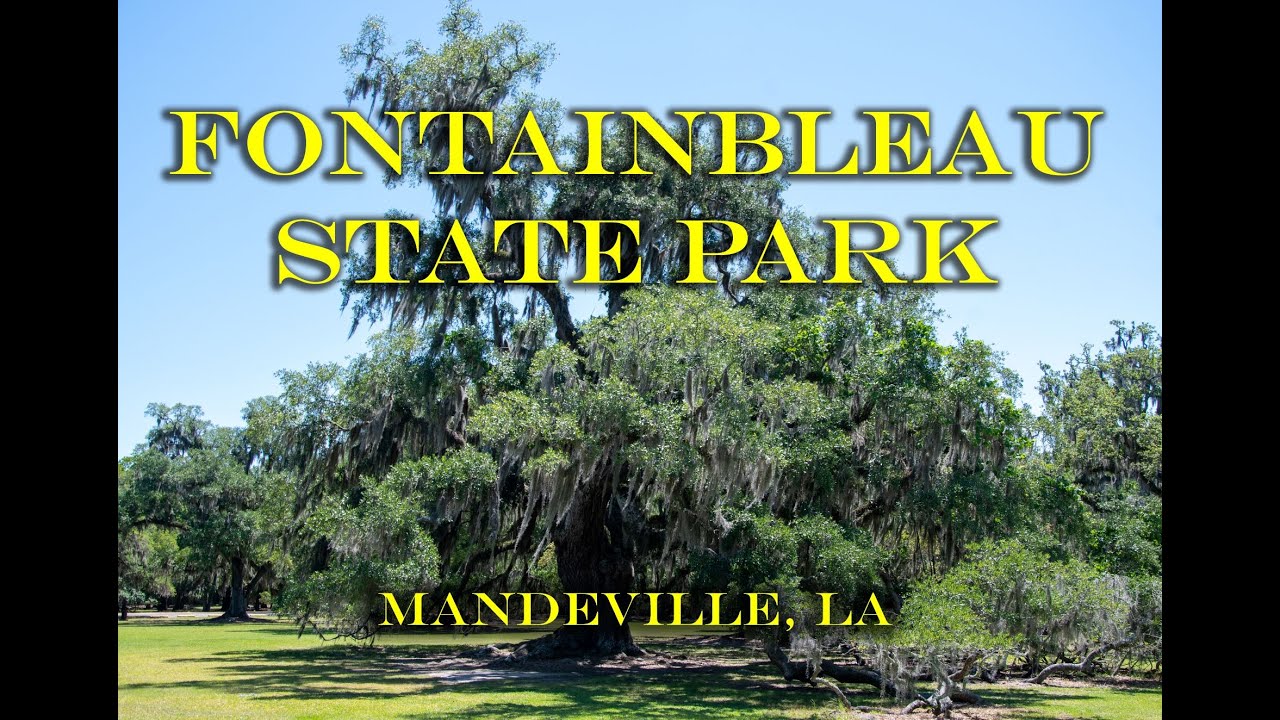 Fontainbleau SP, LA - 4k Campsite Videos (incl Accessibility) with Bonus Marsh Tour