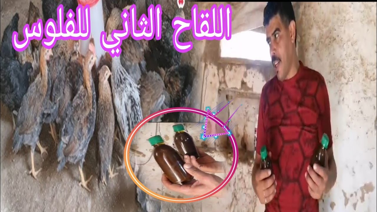 سلام وعليكم الاخوان ليبغي يعرف كيفاش يدير جلبة التاني البرونشية مرحبا الاخوان الهاتف 0700750056 