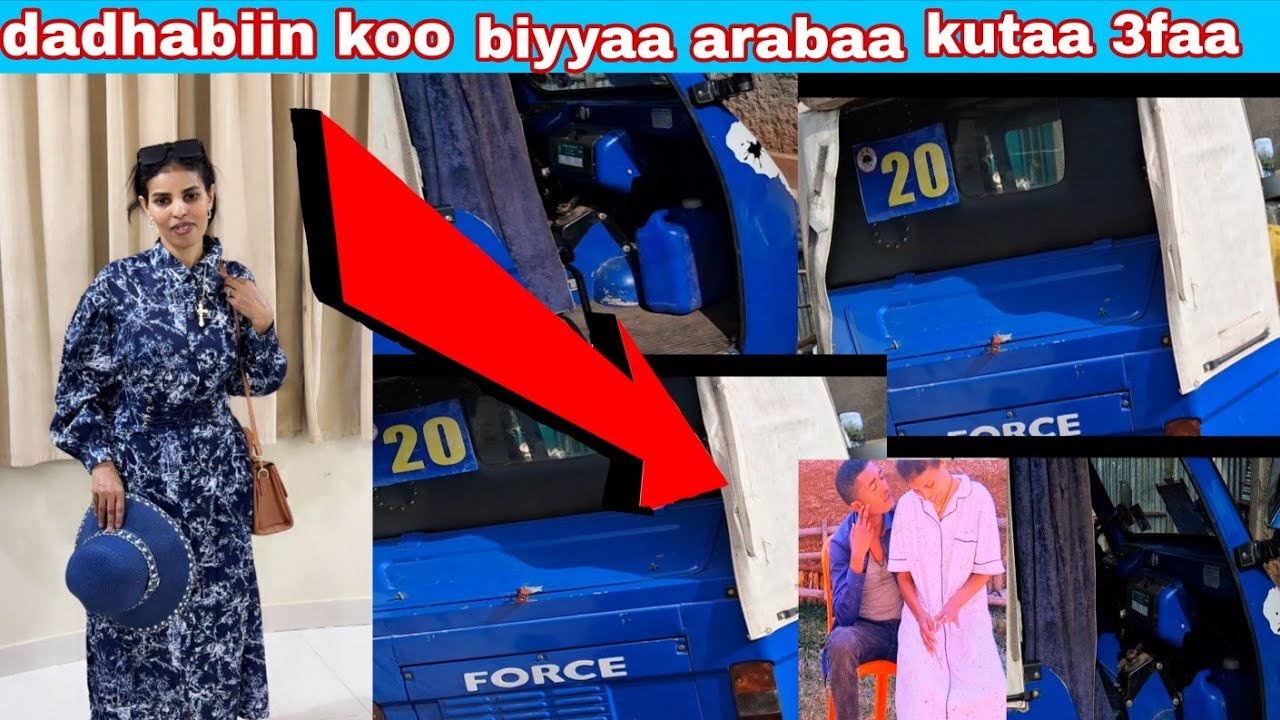 #dadhabi koo biyyaa arabaa kutaa 3faa bayeen gamadee shamaraan tenyaa biyaa arabaa wan dirqamaa beke
