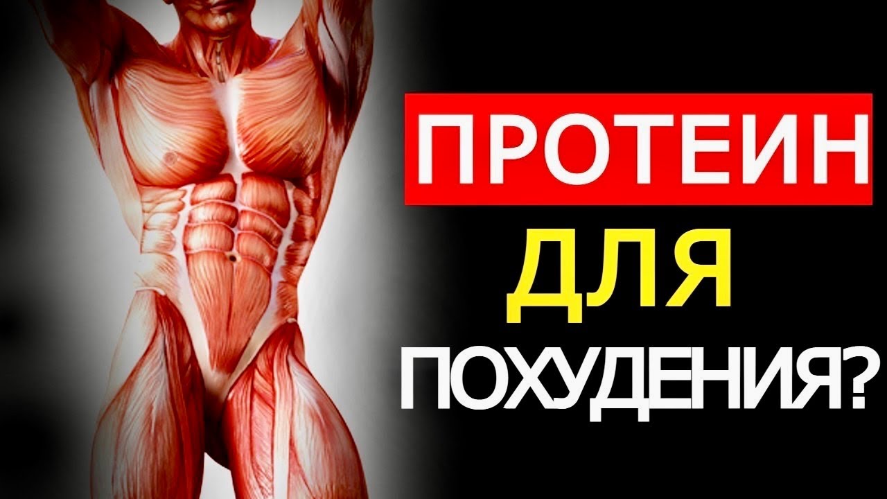 Протеин для похудения, стоит ли переплачивать? Работает? (Это нужно знать)