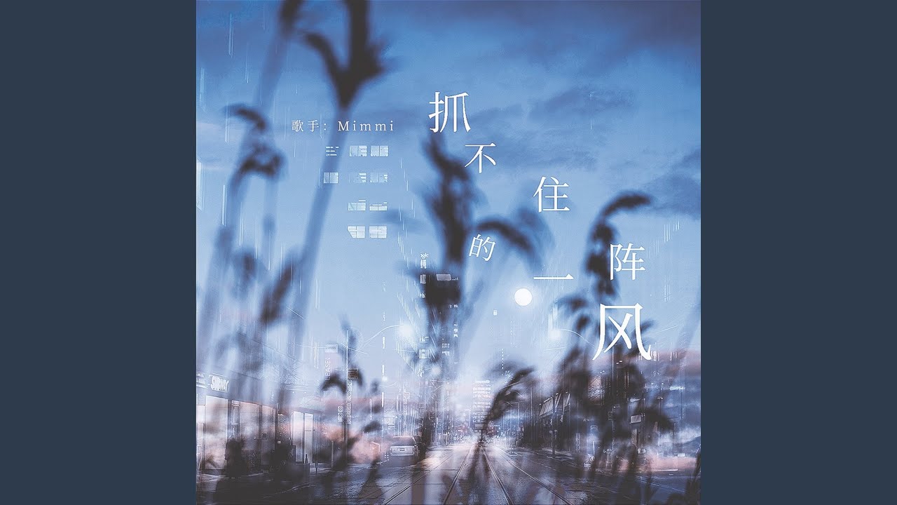 抓不住的一阵风