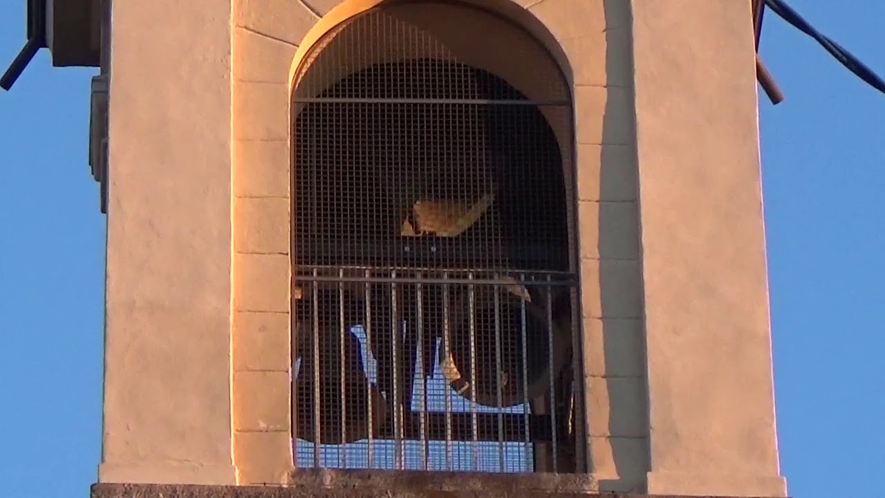 Le campane di Vigliano Biellese (BI) Chiesa di Santa Lucia