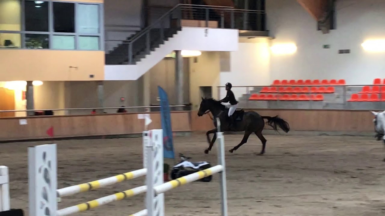 Hipodrom Sopot 12/2018 - High Quality 130cm