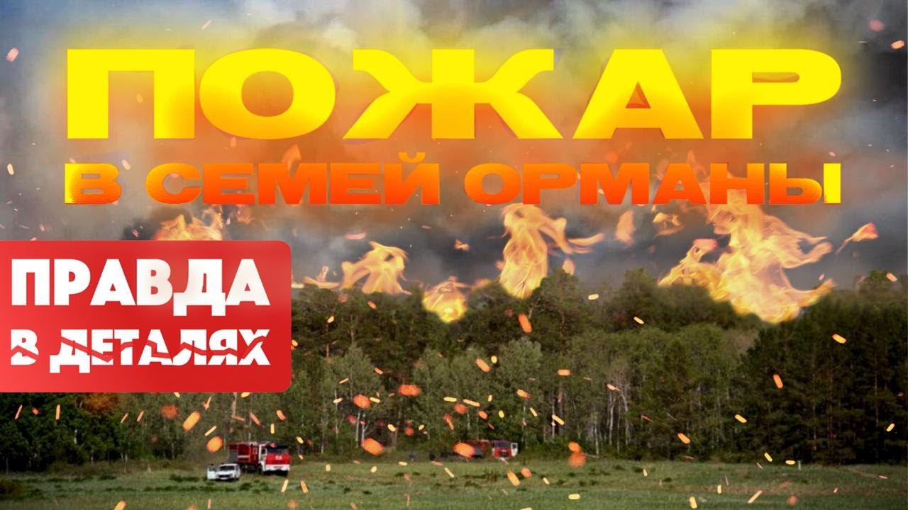 Семей орманы: Трагедия, которую можно было предотвратить | Правда в деталях