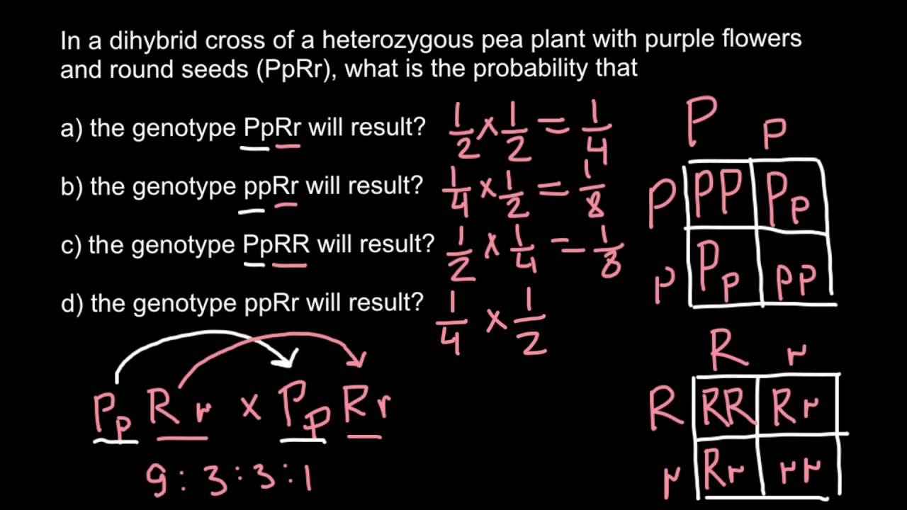 How to solve dihybryd cross problems