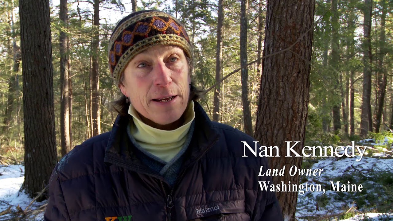 Working with a Professional Master Logger: The Landowner's Perspective