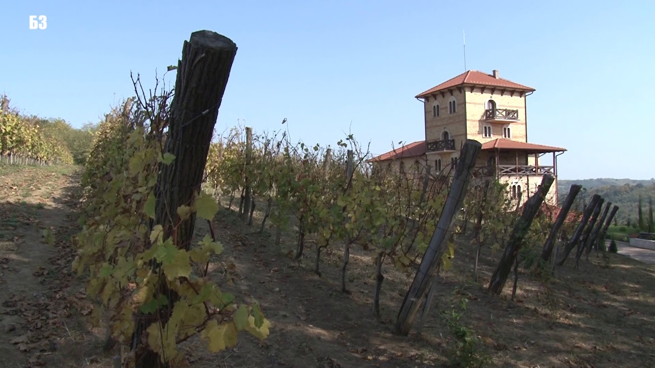 Vinarija gde je VREME STALO - manastir konacno napravio fantasticno vino  - KAKO