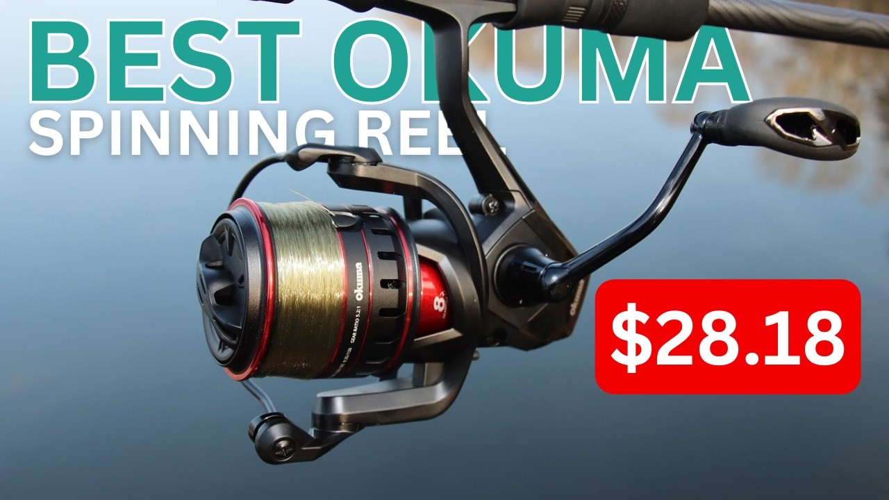 5 Best Cheap OKUMA Spinning Reels UNDER $100