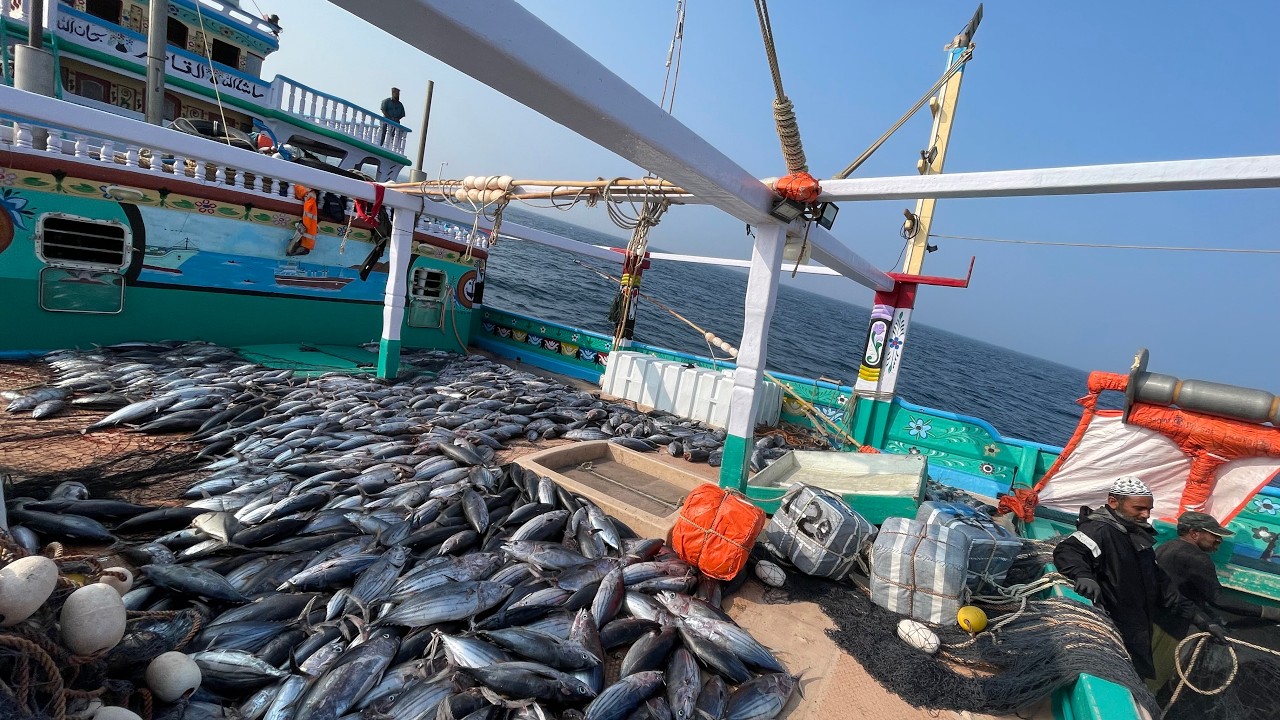 Ohhh!! The Sixth Day We Stayed In The Deep Sea And Caught Tons Of Tuna Fishes S02-EP6