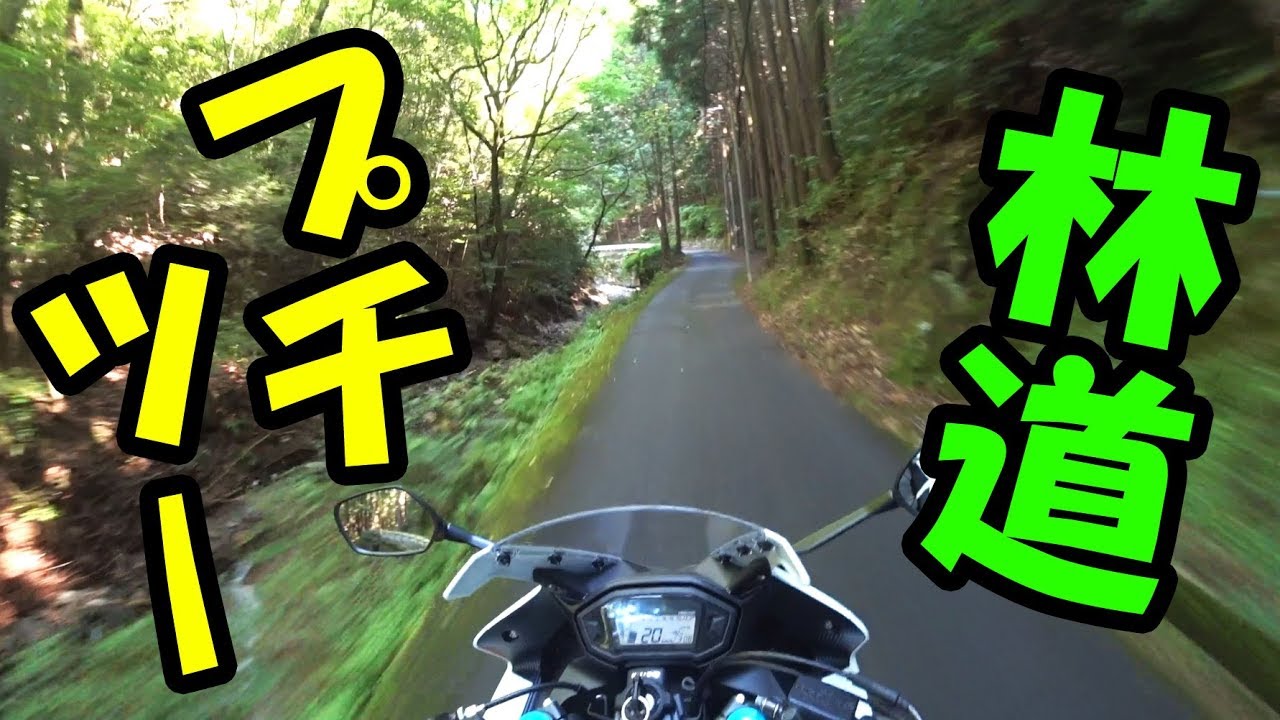 【滝畑ダム】南大阪林道プチツーリング☆CBR400R【バイクスロー走行】