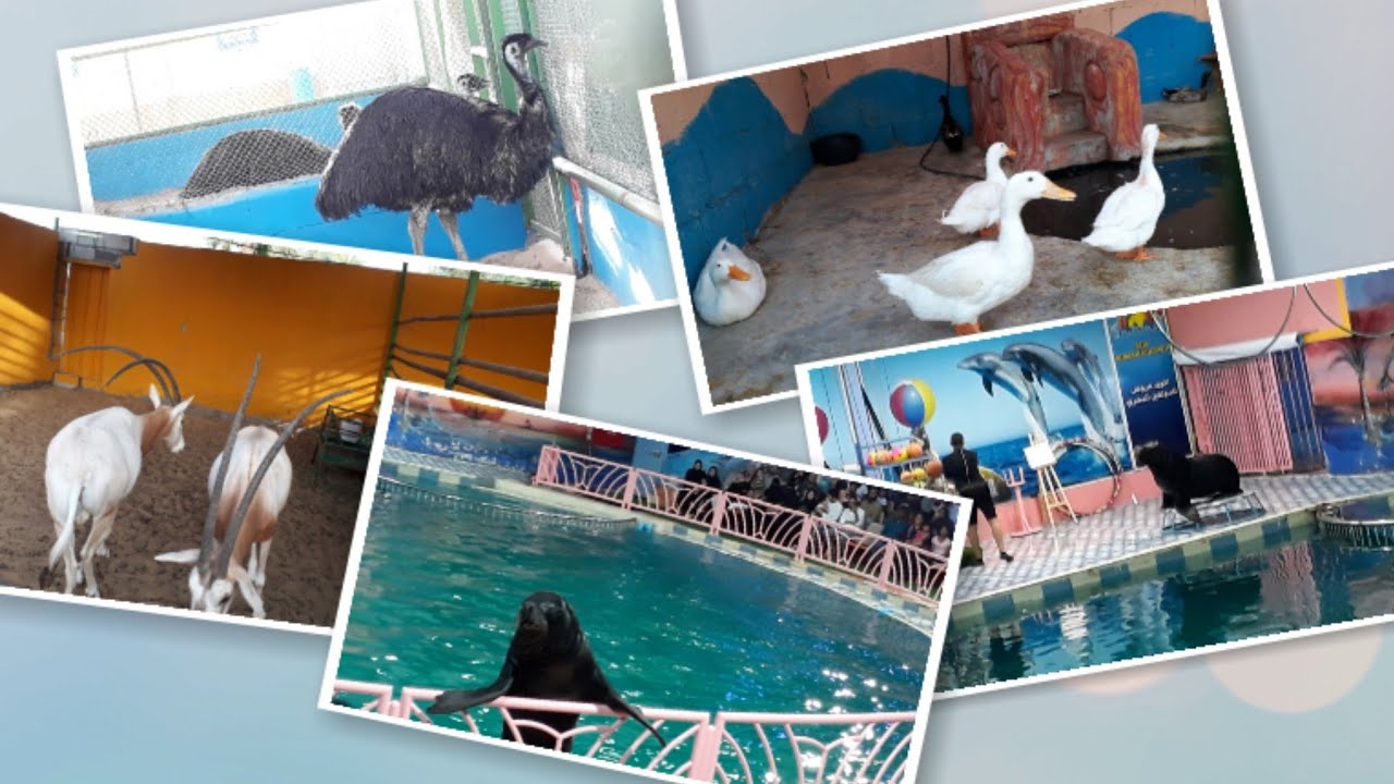 ZOO AND DOLPHIN VILLAGE DAMMAM