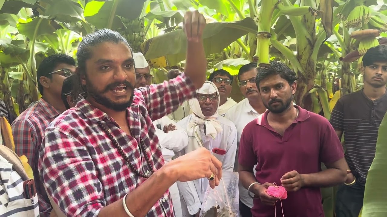 5189- MH Bk Banana  70/30 Farming 8518838222 केला खेती  और भी बेहतर, किसान पाठशाला FARMER SCHOOL