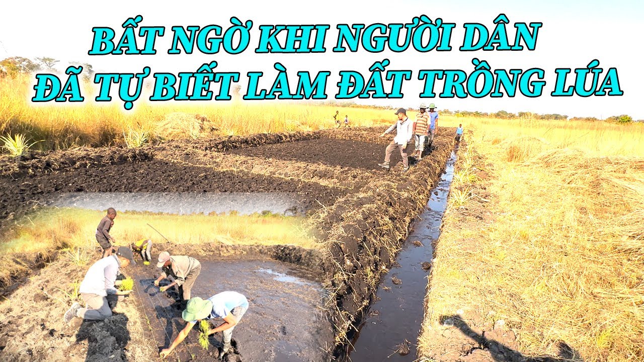 Quang Dũng || Bất Ngờ Với Người Dân Bản Đã Tự Làm Đất Để Trồng Lúa Trên Mảnh Đất Riêng Của Mình !