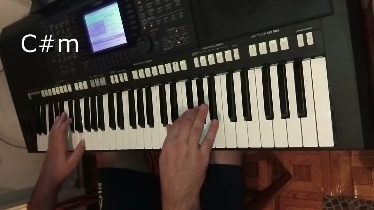 Without You-Harry Nilsson keyboard cover