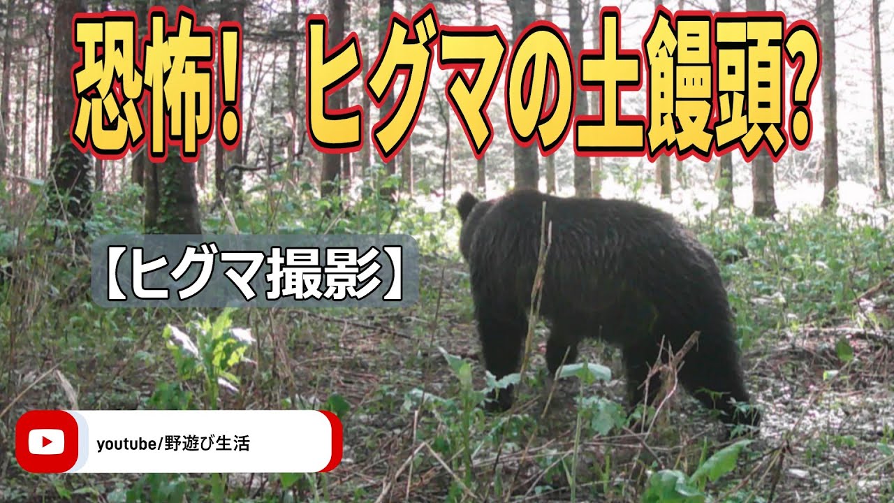 恐怖 ヒグマの土饅頭？