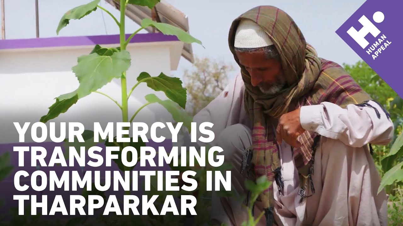 Your mercy is transforming villages in Tharparkar