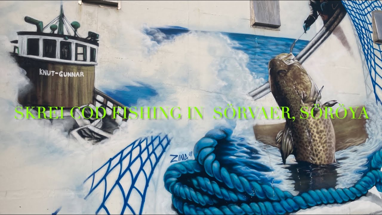 2022 Fishing Skrei cod, Sørvær, Söröya  - Part two