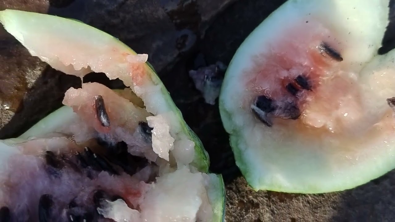 Mais uma vez na venda dos bolos!