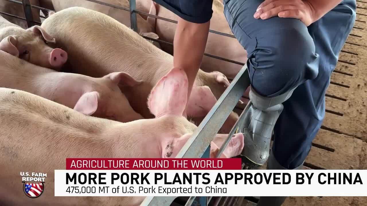U.S. Farm Report Ag Around The World