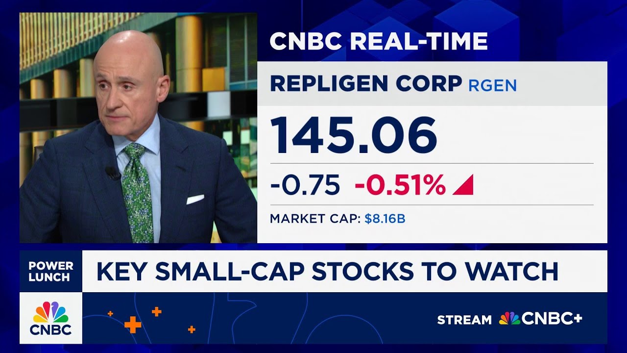 Starting first phase of long-term small cap outperformance relative to large: Palisade's Dan Veru