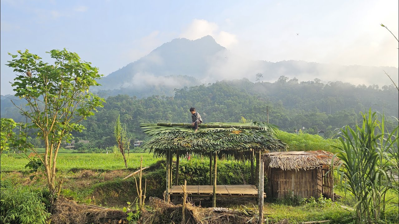 The orphan boy Nam's new house has completed the frame and roof. Bamboo House 2024 | Nam - poor boy