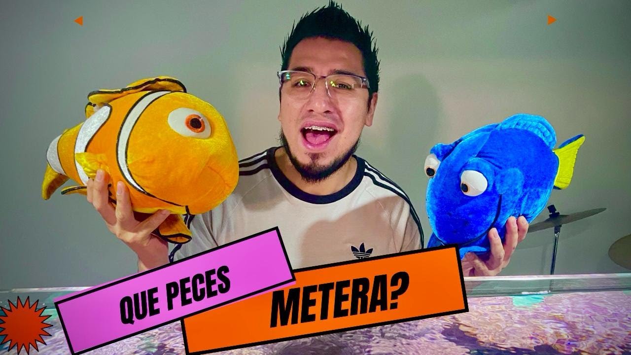 LOS PECES DE EL FEDELOBO