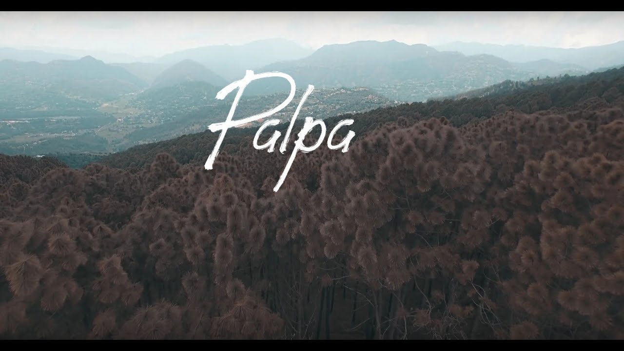 Hunger Hunt In Palpa