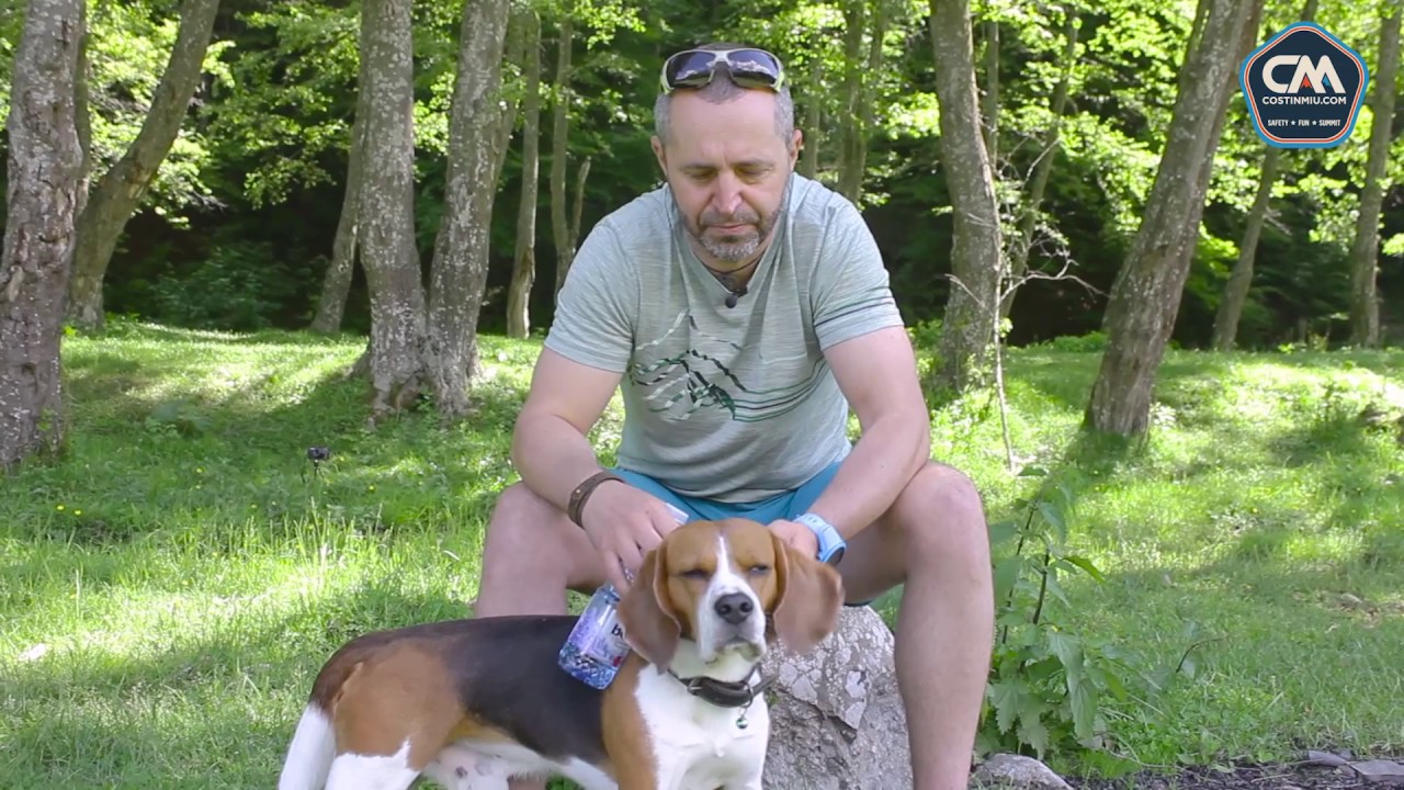 #LearnHowToMountain Ep. 10 - Florile monument al naturii de pe munte