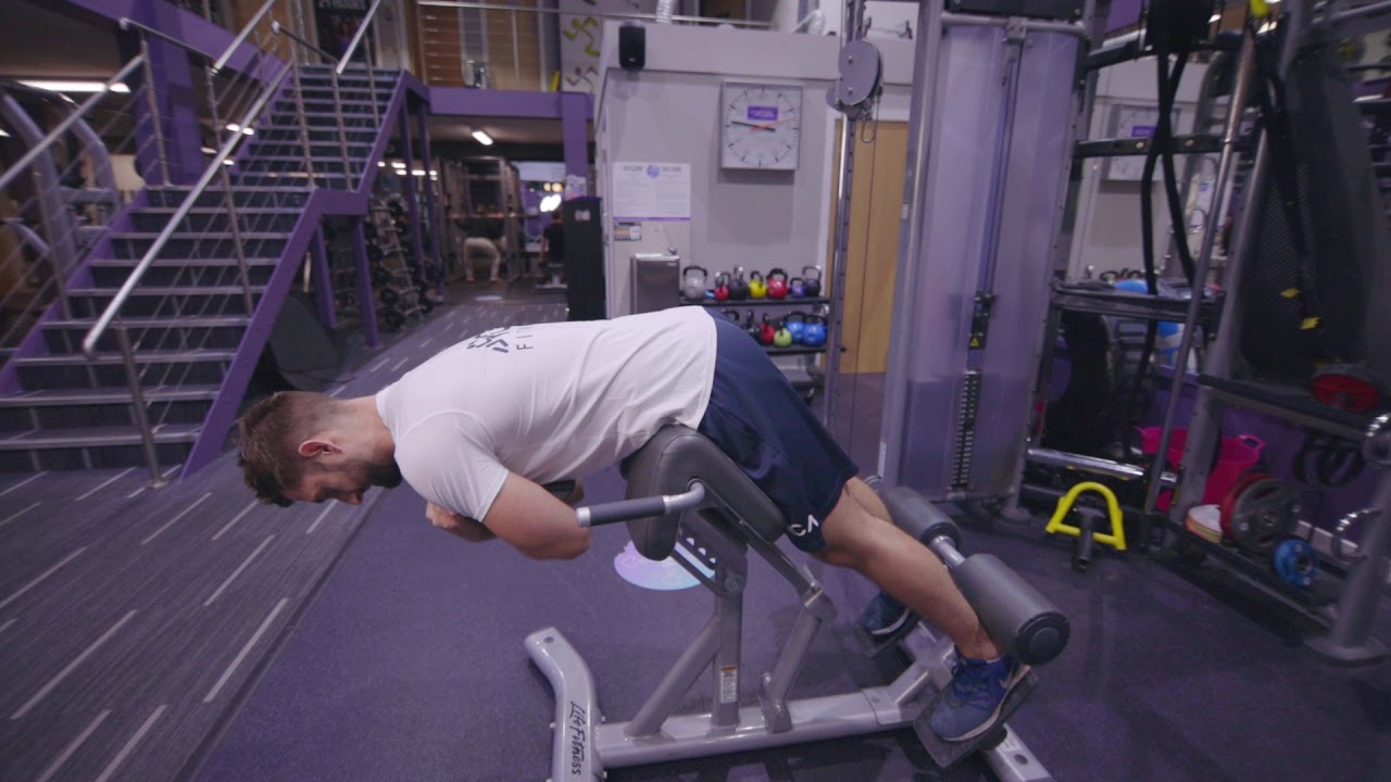 Roman Chair Weighted Trunk Extensions - RCA Fitness