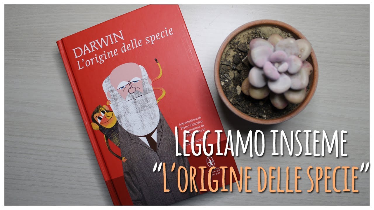 Leggiamo insieme 